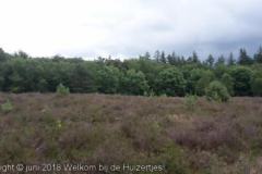 IMG-20180624-WA0020