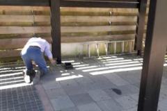 IMG-20210530-WA0003
