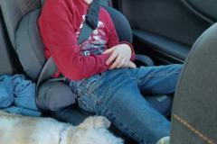 IMG-20220415-WA0001