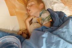 IMG-20220528-WA0003