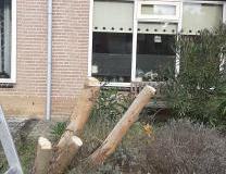 IMG-20231028-WA0003