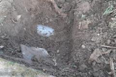 IMG-20231028-WA0005