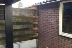 IMG-20231116-WA0003