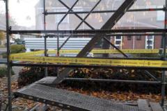 IMG-20231117-WA0002