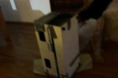 IMG-20231206-WA0007