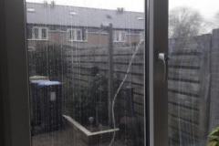 IMG-20240131-WA0002
