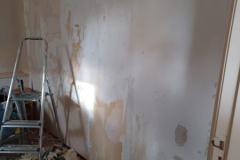 IMG-20231111-WA0001