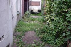 DSC01335