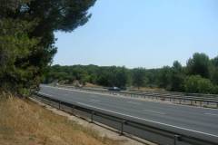 DSCN0444