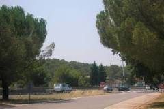 DSCN0451