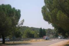 DSCN0452