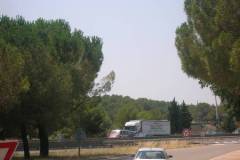 DSCN0453