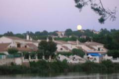 DSCN0460
