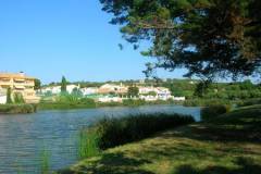 DSCN0487