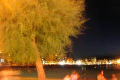 DSCN0497