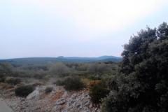 IMG_20140728_145015