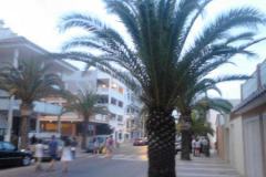 IMG_20140809_211330