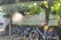 IMG-20171022-WA0005