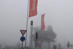 IMG-20191023-WA0010