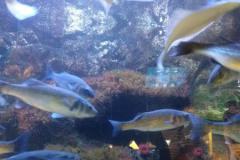 IMG-20210817-WA0012