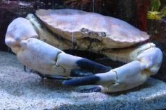 IMG-20210817-WA0018