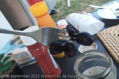 IMG-20230902-WA0006