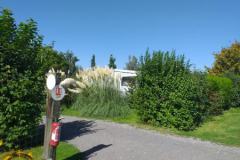 IMG-20230906-WA0001