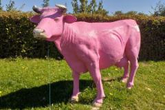 IMG-20230906-WA0002