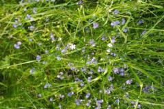 1_IMG-20230522-WA0011