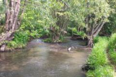 IMG-20230521-WA0001