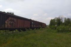 IMG-20230522-WA0003