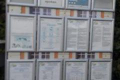 IMG-20230819-WA0007