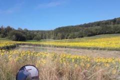 IMG-20230821-WA0015