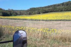 IMG-20230821-WA0016