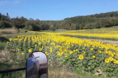 IMG-20230821-WA0017