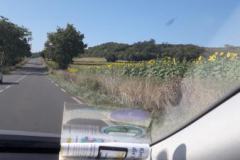 IMG-20230821-WA0018