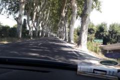 IMG-20230824-WA0083