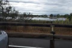 IMG-20230827-WA0002