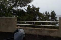 IMG-20230827-WA0006