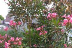 IMG-20230626-WA0000