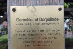 IMG-20240908-WA0046