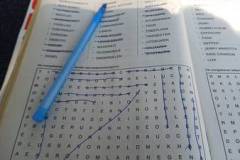 IMG-20240908-WA0050
