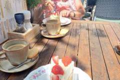 IMG-20250619-WA0024