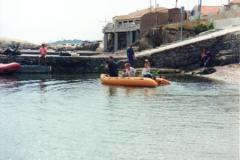 img461