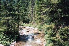 img018
