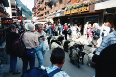 img030