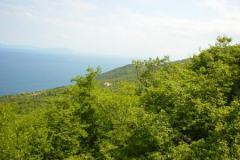DSC01219