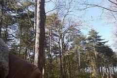 20170423_165012