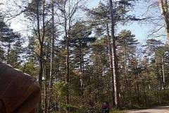 20170423_165019