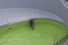 20170425_113249